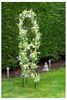 GH363 - 2m Garden Obelisk for Climbing Plants & Decoration