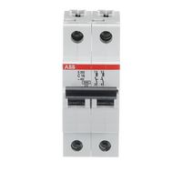 S202-C16 - 16A DP Type C MCB