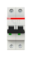 S202M-C6 - 6A DP Type C MCB