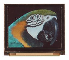 MDOG160128B1Y-RGBM - OLED Graphic Display Module, 160 x 128, RGB on Black, 3V, I2C, Parallel, SPI
