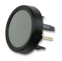 12411104796 - Switch, SPNO, Round, Grey