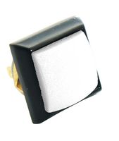 59-214 - Switch, Push, SPNO, Momentary, Metal Square, White