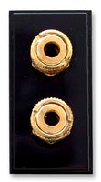304281 - Twin Loudspeaker Euro Module, Black