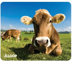 06410 - Cows in Field Mouse Mat