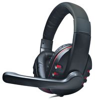 DH-878 - Surround Sound Headset with Microphone