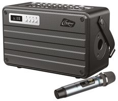 ROADY FL - 100W All in One Portable Combo Amplifier with UHF Microphone