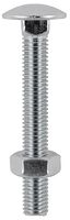 12100CBSSP - M12 x 100mm A2 Stainless Steel Coach Bolts & Hex Nuts, 2 Pack