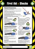 55905 - First Aid Electric Shocks Poster - 594mm x 420mm