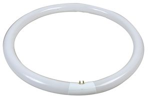 0001967 - T9 Fluorescent Circline Plus FC40/840 Bulb
