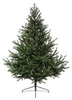 TR600GNS - 1.8m Glenshee Spruce Natural Christmas Tree
