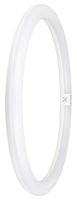 4099854042584 - 24W LED T9 Circular Tube, G10q, 6500K, 2900lm, Non-Dimmable