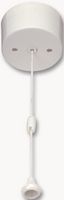 PRC210 - 10AX 2 Way Pull Cord Switch 