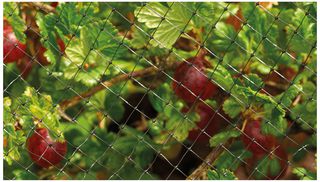 68000 - Garden Crop & Pond Netting, 4m x 2m