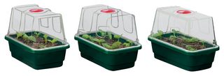 G85X3 - Mini High Dome Propagator, 3 Piece Set