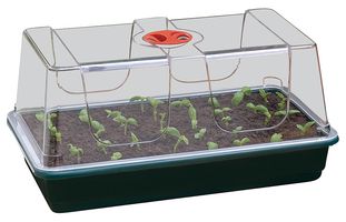 G19 - Large High Dome Propagator with Holes