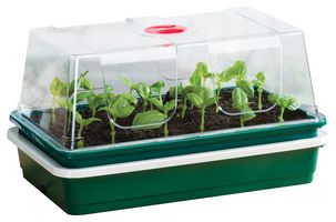 G186MO - One Top Electric Propagator