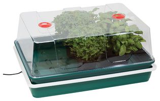 G206MO - XL High Dome Electric Propagator