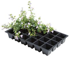 W0014 - Professional 24 Cell Seed Tray Inserts, 5 Pack