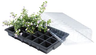 W0030 - Standard Propagator