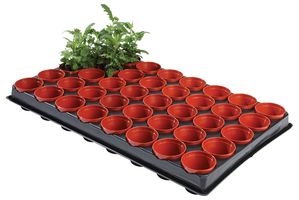 W0050 - Professional Seed & Cutting Tray (40x 6cm Pots)