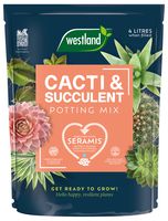 10200094 - Cacti & Succulent Compost Potting Mix, 4L
