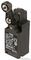 D4N-1120 - Limit Switch, D4N, Roller Lever