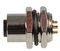 2MT3000-W05300 - Socket, Panel, Rear Mount, 5A, 5 Way