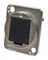 CP30241M - Panel Blanking Plate, Silver Metal XLR Frame
