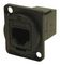 CP30223 - RJ11 to RJ11 Feedthrough Panel Mount Connector, Black Metal, CSK Holes