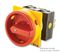 T3-1-102/EA/SVB - Rotary Isolator, Flush, 32A, 2Pole