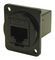 CP30222M3B - RJ45 Cat6 Socket to RJ45 Cat6 Socket Feedthrough Connector, Metal, Black, Plain Holes