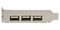 PEXUSB4DP - 4-Port PCI-Ex Low Profile High Speed USB Card