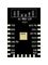 AI-WB2-12F - WiFi and Bluetooth Module, MCU Onboard Antenna, SMD 22 Pin