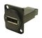 CP30233M3B - DisplayPort Socket to DisplayPort Socket Feedthrough Coupler, Metal, Black, M3 Plain Holes