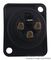 NC3FPP - XLR Panel Socket, 3 Pole, D Shell