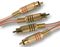B050 - Phono (RCA) Twin Male to Twin Male Lead, 0.5m Transparent