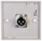 PELR0082 - 1 Gang Multimedia Wallplate, 3 Pin XLR Plug