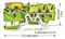 2102-5307 - 3 Conductor Ground Terminal Block Lever, Push In Cage Clamp, 35mm DIN Rail, 22AWG to 12AWG, Green