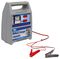 SWBCG8 - 8 Amp Battery Charger, 6/12V