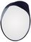 SWSM1 - Convex Traffic Mirror, 300mm
