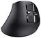 23731 - Voxx Wireless Rechargeable Ergonomic Mouse, Black
