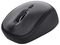 24706 - TM-201 Silent Wireless Optical Mouse, Black