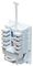 FJ6WHJE - Low Profile 6C Network Outlet, Cat5e