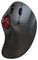 MOU-TRACK905-BK - TRACK 905 Ergonomic Wired USB Trackball Mouse, Black