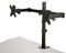 ARMDUAL2 - Desk Mount Dual Arm Monitor Stand, up to 32"