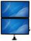 ARMDUAL30 - Desk Mount Full Motion Dual Arm Monitor Stand, up to 30"