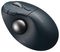 K72196WW - TB550 Pro Fit Ergo Wireless Trackball
