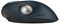 K72196WW - TB550 Pro Fit Ergo Wireless Trackball