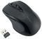K72481WW - MY310 EQ Wireless Mouse, Black