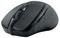 K72481WW - MY310 EQ Wireless Mouse, Black